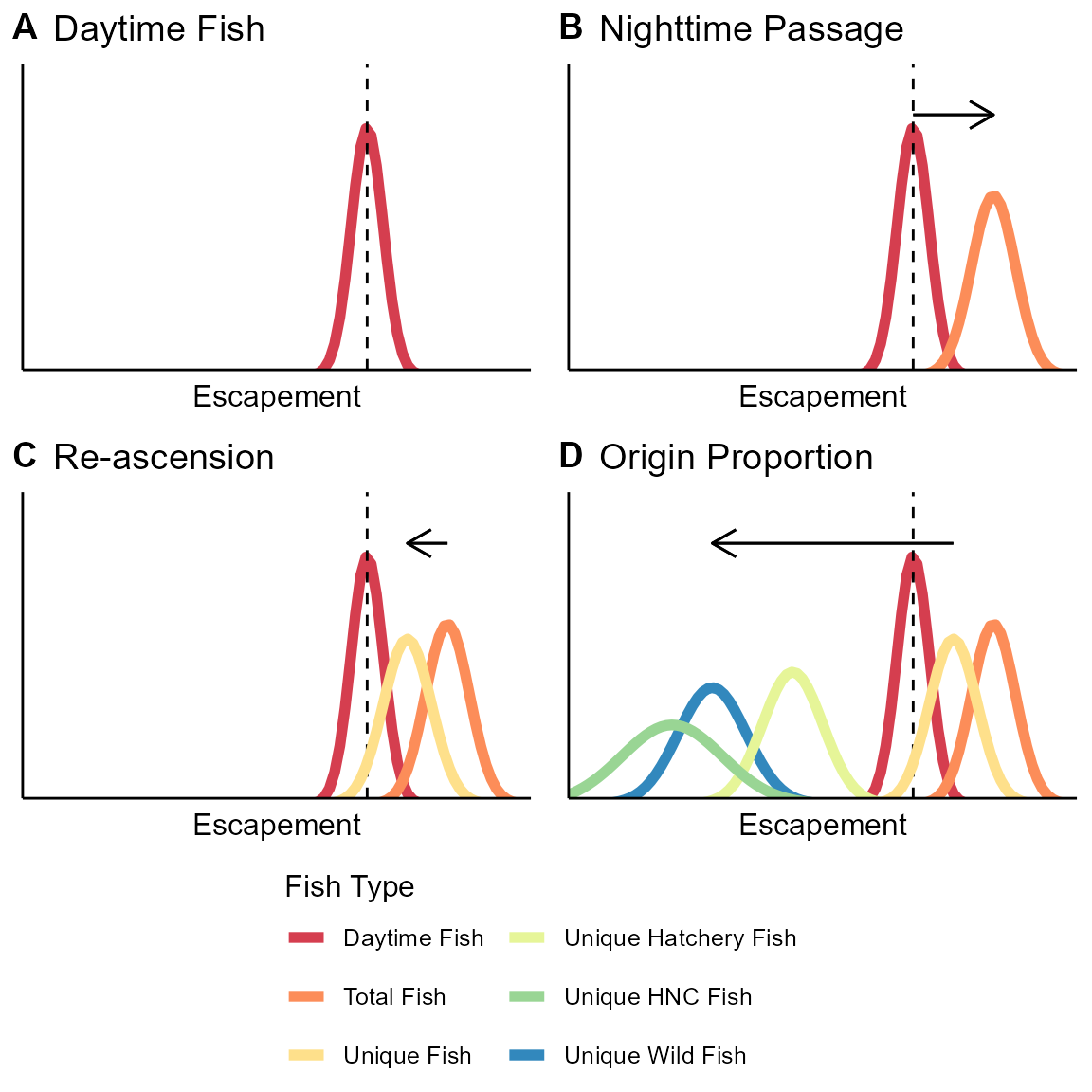 Schematic of how the STADEM model works. Panel A shows the posterior of the estimate of fish crossing while the window is open (dashed line shows observed window counts). That estimate is divided by the nighttime passage rate (B). The total fish is then discounted by the reascension rate to estimate unique fish (C). Those unique fish are then multiplied by the proportion of wild fish (D), to estimate unique wild fish.